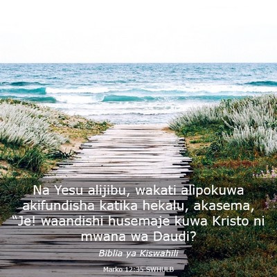 Picture 03 - Marko 12:35 SWHULB - Na Yesu alijibu, wakati alipokuwa akifundisha - Bible Verse Picture
