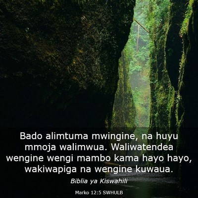 Picture 03 - Marko 12:5 SWHULB - Bado alimtuma mwingine, na huyu mmoja walimwua. - Bible Verse Picture