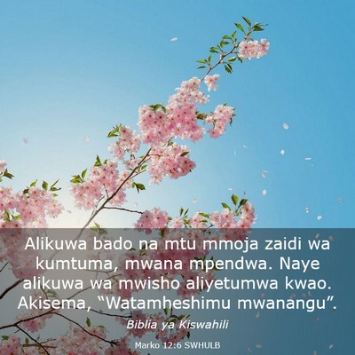 Picture 03 - Marko 12:6 SWHULB - Alikuwa bado na mtu mmoja zaidi wa kumtuma, mwana - Bible Verse Picture