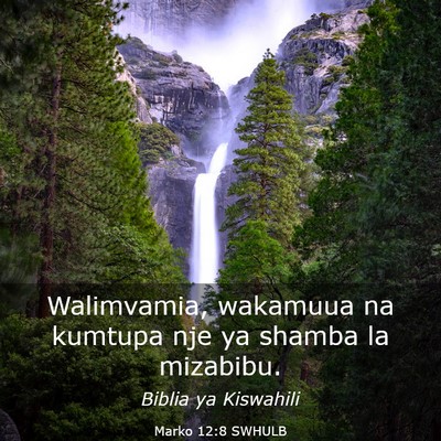 Picture 03 - Marko 12:8 SWHULB - Walimvamia, wakamuua na kumtupa nje ya shamba la - Bible Verse Picture