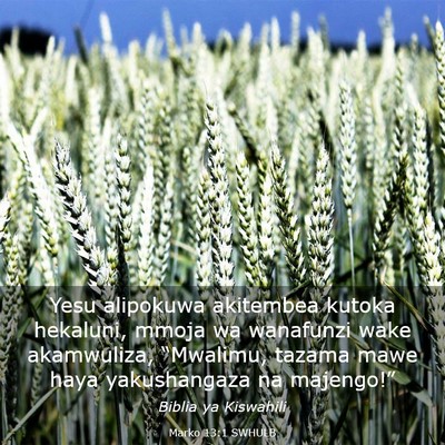 Picture 03 - Marko 13:1 SWHULB - Yesu alipokuwa akitembea kutoka hekaluni, mmoja - Bible Verse Picture
