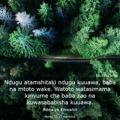 Picture 03 - Marko 13:12 SWHULB - Ndugu atamshitaki ndugu kuuawa, baba na mtoto - Bible Verse Picture
