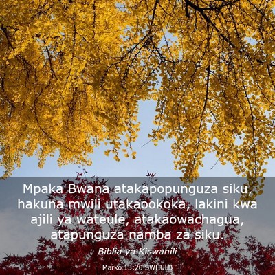 Picture 03 - Marko 13:20 SWHULB - Mpaka Bwana atakapopunguza siku, hakuna mwili - Bible Verse Picture