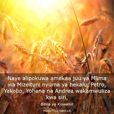Picture 03 - Marko 13:3 SWHULB - Naye alipokuwa amekaa juu ya Mlima wa Mizeituni - Bible Verse Picture