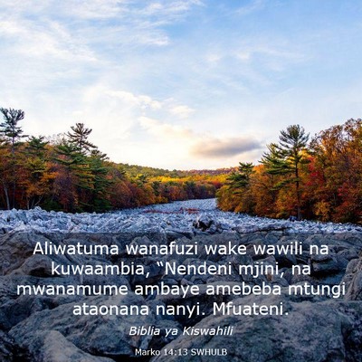 Picture 03 - Marko 14:13 SWHULB - Aliwatuma wanafuzi wake wawili na kuwaambia, - Bible Verse Picture