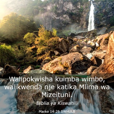Picture 03 - Marko 14:26 SWHULB - Walipokwisha kuimba wimbo, walikwenda nje katika - Bible Verse Picture