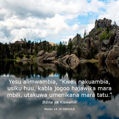 Picture 03 - Marko 14:30 SWHULB - Yesu alimwambia, “Kweli nakuambia, usiku huu, - Bible Verse Picture