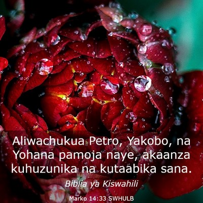 Picture 03 - Marko 14:33 SWHULB - Aliwachukua Petro, Yakobo, na Yohana pamoja naye, - Bible Verse Picture