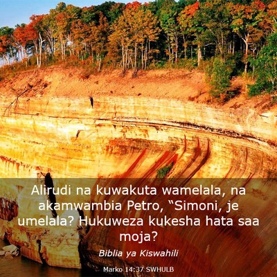 Picture 03 - Marko 14:37 SWHULB - Alirudi na kuwakuta wamelala, na akamwambia - Bible Verse Picture