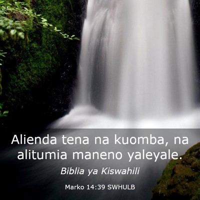 Picture 03 - Marko 14:39 SWHULB - Alienda tena na kuomba, na alitumia maneno - Bible Verse Picture