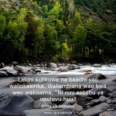 Picture 03 - Marko 14:4 SWHULB - Lakini kulikuwa na baadhi yao waliokasirika. - Bible Verse Picture