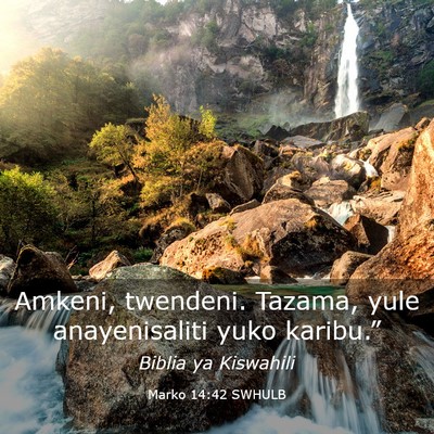 Picture 03 - Marko 14:42 SWHULB - Amkeni, twendeni. Tazama, yule anayenisaliti yuko - Bible Verse Picture