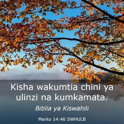 Picture 03 - Marko 14:46 SWHULB - Kisha wakumtia chini ya ulinzi na - Bible Verse Picture