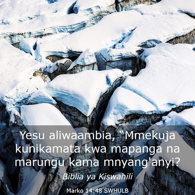 Picture 03 - Marko 14:48 SWHULB - Yesu aliwaambia, “Mmekuja kunikamata kwa - Bible Verse Picture