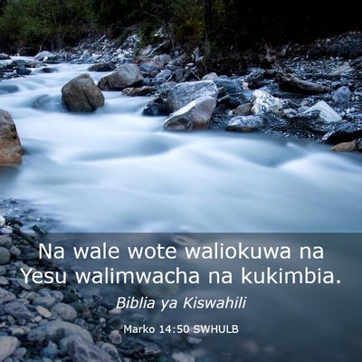 Picture 03 - Marko 14:50 SWHULB - Na wale wote waliokuwa na Yesu walimwacha na - Bible Verse Picture