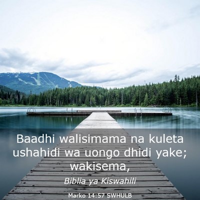Picture 03 - Marko 14:57 SWHULB - Baadhi walisimama na kuleta ushahidi wa uongo - Bible Verse Picture