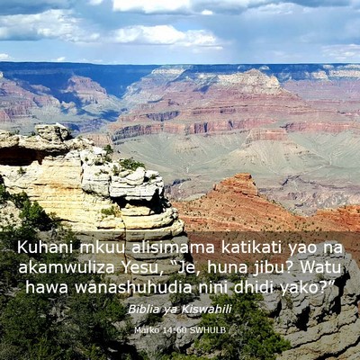 Picture 03 - Marko 14:60 SWHULB - Kuhani mkuu alisimama katikati yao na akamwuliza - Bible Verse Picture