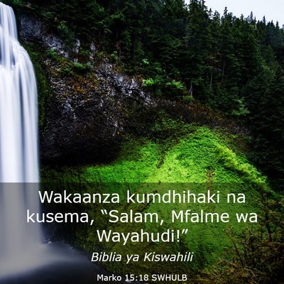 Picture 03 - Marko 15:18 SWHULB - Wakaanza kumdhihaki na kusema, “Salam, Mfalme - Bible Verse Picture