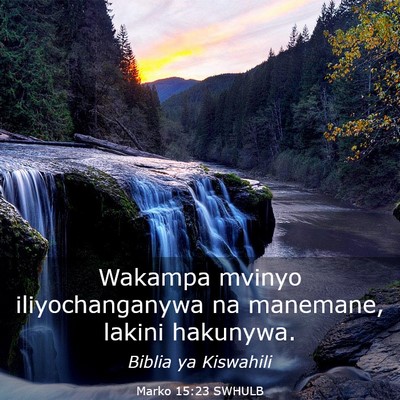 Picture 03 - Marko 15:23 SWHULB - Wakampa mvinyo iliyochanganywa na manemane, - Bible Verse Picture