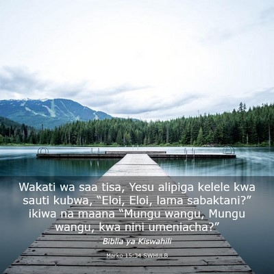 Picture 03 - Marko 15:34 SWHULB - Wakati wa saa tisa, Yesu alipiga kelele kwa sauti - Bible Verse Picture