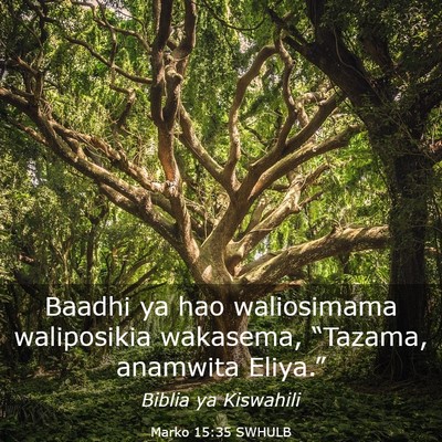 Picture 03 - Marko 15:35 SWHULB - Baadhi ya hao waliosimama waliposikia wakasema, - Bible Verse Picture
