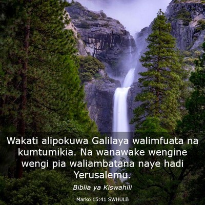 Picture 03 - Marko 15:41 SWHULB - Wakati alipokuwa Galilaya walimfuata na - Bible Verse Picture