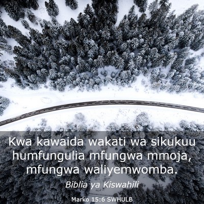 Picture 03 - Marko 15:6 SWHULB - Kwa kawaida wakati wa sikukuu humfungulia mfungwa - Bible Verse Picture
