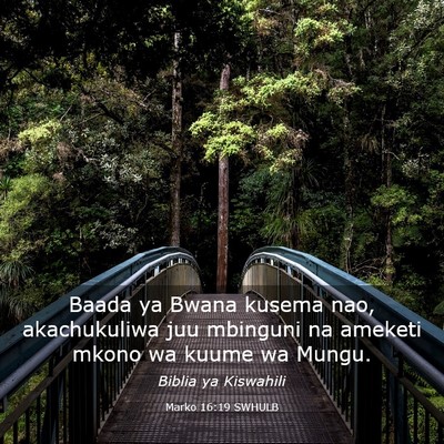 Picture 03 - Marko 16:19 SWHULB - Baada ya Bwana kusema nao, akachukuliwa juu - Bible Verse Picture