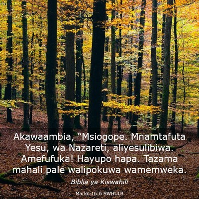 Picture 03 - Marko 16:6 SWHULB - Akawaambia, “Msiogope. Mnamtafuta Yesu, wa - Bible Verse Picture