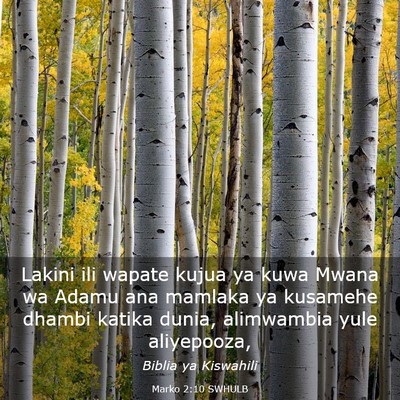 Picture 03 - Marko 2:10 SWHULB - Lakini ili wapate kujua ya kuwa Mwana wa Adamu - Bible Verse Picture