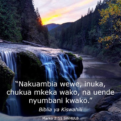 Picture 03 - Marko 2:11 SWHULB - “Nakuambia wewe, inuka, chukua mkeka wako, na - Bible Verse Picture