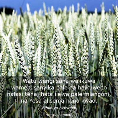 Picture 03 - Marko 2:2 SWHULB - Watu wengi sana walikuwa wamekusanyika pale na - Bible Verse Picture