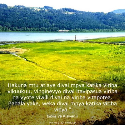 Picture 03 - Marko 2:22 SWHULB - Hakuna mtu atiaye divai mpya katika viriba - Bible Verse Picture
