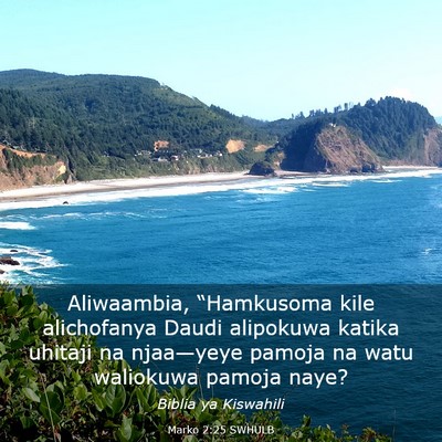 Picture 03 - Marko 2:25 SWHULB - Aliwaambia, “Hamkusoma kile alichofanya Daudi - Bible Verse Picture