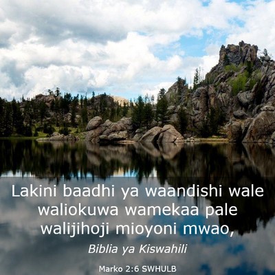 Picture 03 - Marko 2:6 SWHULB - Lakini baadhi ya waandishi wale waliokuwa wamekaa - Bible Verse Picture