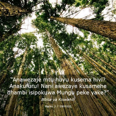 Picture 03 - Marko 2:7 SWHULB - “Anawezaje mtu huyu kusema hivi? Anakufuru! - Bible Verse Picture