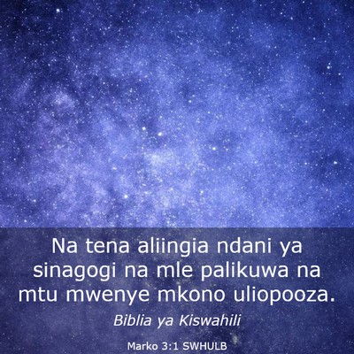 Picture 03 - Marko 3:1 SWHULB - Na tena aliingia ndani ya sinagogi na mle - Bible Verse Picture