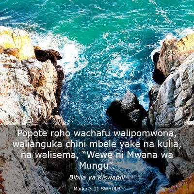 Picture 03 - Marko 3:11 SWHULB - Popote roho wachafu walipomwona, walianguka chini - Bible Verse Picture