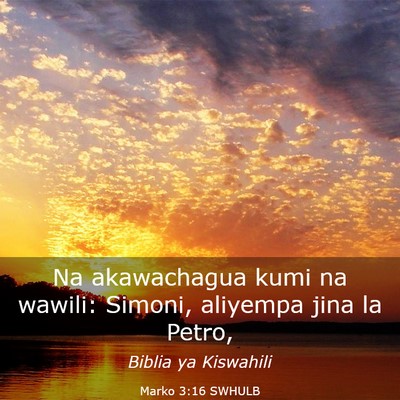 Picture 03 - Marko 3:16 SWHULB - Na akawachagua kumi na wawili: Simoni, aliyempa - Bible Verse Picture