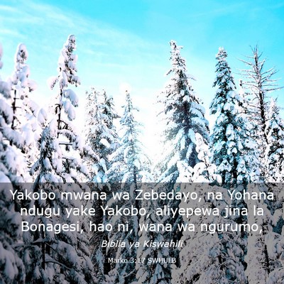 Picture 03 - Marko 3:17 SWHULB - Yakobo mwana wa Zebedayo, na Yohana ndugu yake - Bible Verse Picture