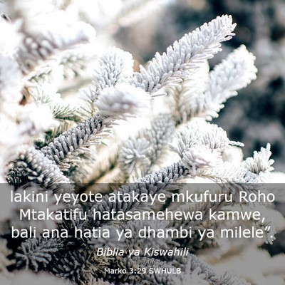 Picture 03 - Marko 3:29 SWHULB - lakini yeyote atakaye mkufuru Roho Mtakatifu - Bible Verse Picture