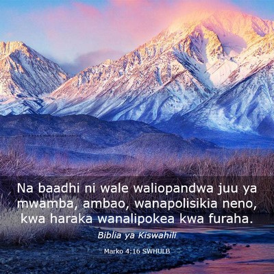 Picture 03 - Marko 4:16 SWHULB - Na baadhi ni wale waliopandwa juu ya mwamba, - Bible Verse Picture