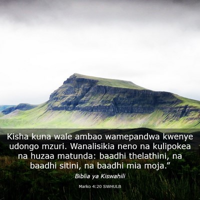 Picture 03 - Marko 4:20 SWHULB - Kisha kuna wale ambao wamepandwa kwenye udongo - Bible Verse Picture