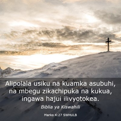 Picture 03 - Marko 4:27 SWHULB - Alipolala usiku na kuamka asubuhi, na mbegu - Bible Verse Picture