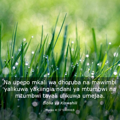Picture 03 - Marko 4:37 SWHULB - Na upepo mkali wa dhoruba na mawimbi yalikuwa - Bible Verse Picture