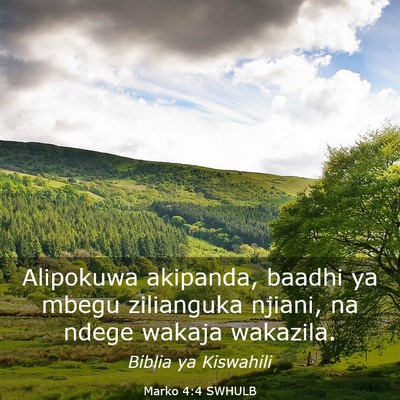 Picture 03 - Marko 4:4 SWHULB - Alipokuwa akipanda, baadhi ya mbegu zilianguka - Bible Verse Picture