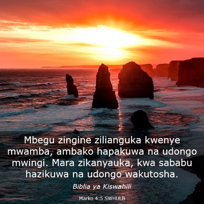 Picture 03 - Marko 4:5 SWHULB - Mbegu zingine zilianguka kwenye mwamba, ambako - Bible Verse Picture