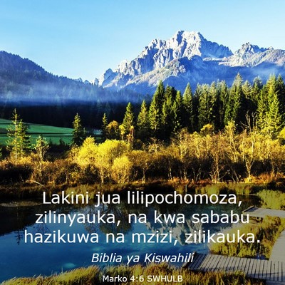 Picture 03 - Marko 4:6 SWHULB - Lakini jua lilipochomoza, zilinyauka, na kwa - Bible Verse Picture