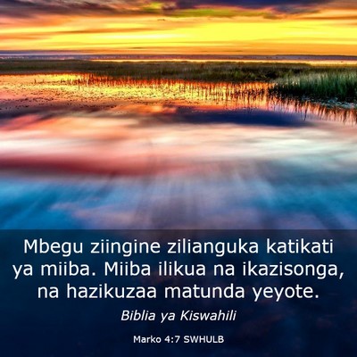 Picture 03 - Marko 4:7 SWHULB - Mbegu ziingine zilianguka katikati ya miiba. - Bible Verse Picture