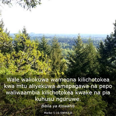 Picture 03 - Marko 5:16 SWHULB - Wale waliokuwa wameona kilichotokea kwa mtu - Bible Verse Picture